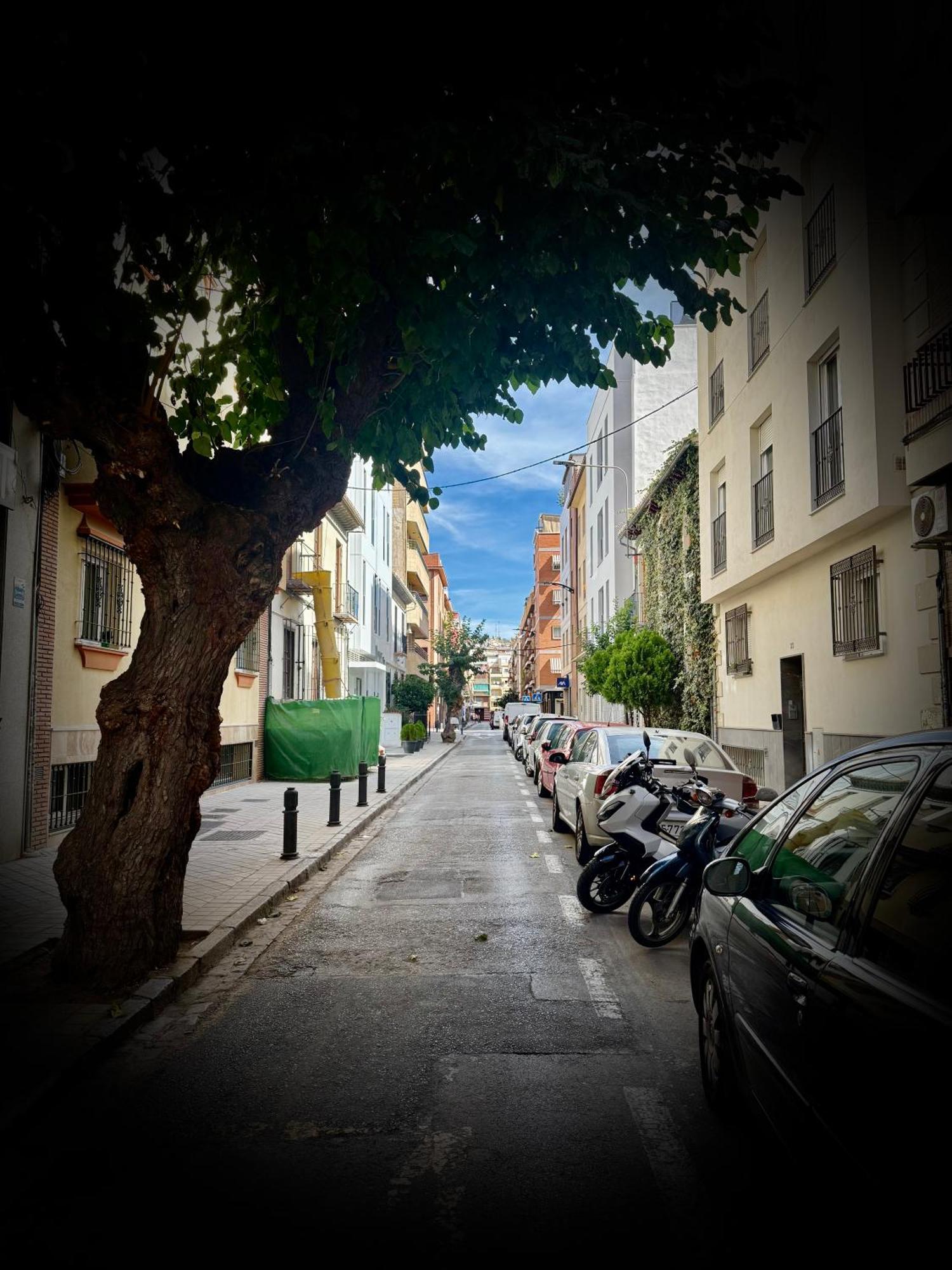 גרנדה Centrico Apartamento Con Parking מראה חיצוני תמונה